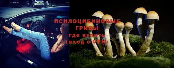 прущие грибы Волоколамск