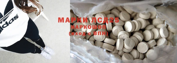 прущие грибы Волоколамск