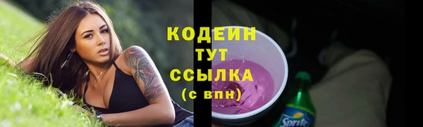 шишки Вяземский