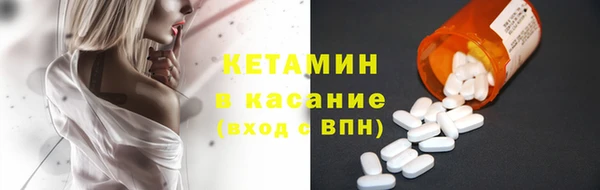 прущие грибы Волоколамск