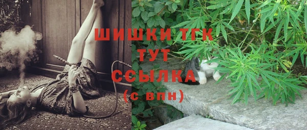 амф Вязьма