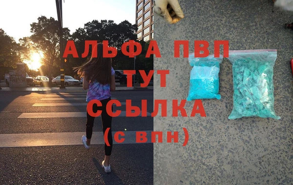 шишки Вяземский