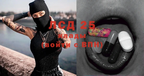 шишки Вяземский