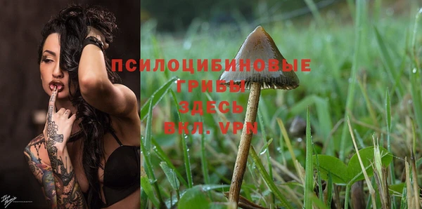 дмт Вязники