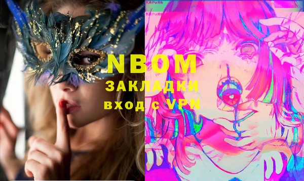 прущие грибы Волоколамск