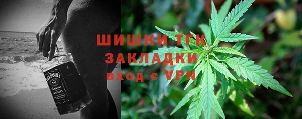 прущие грибы Волоколамск