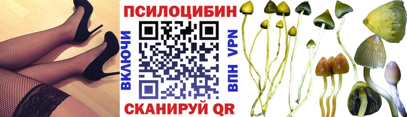 Галлюциногенные грибы Psilocybine cubensis  Мелеуз 